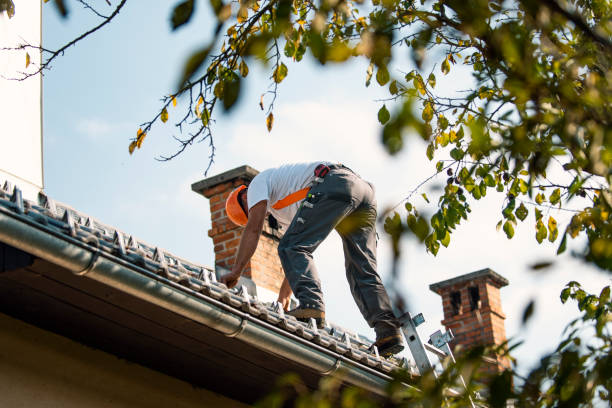 Roof Waterproofing Services in Cleveland, MS
