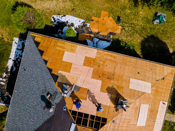 Best Shingle Roofing Installation  in Cleveland, MS