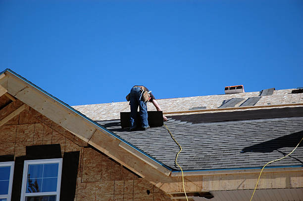 Best Roof Gutter Cleaning  in Cleveland, MS