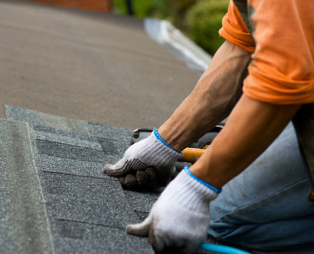 Best Roof Maintenance Services  in Cleveland, MS