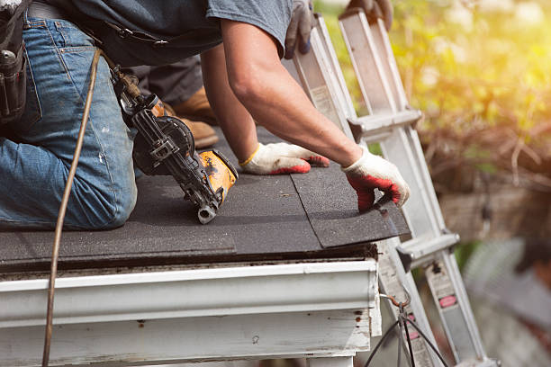 Best Roof Maintenance Services  in Cleveland, MS