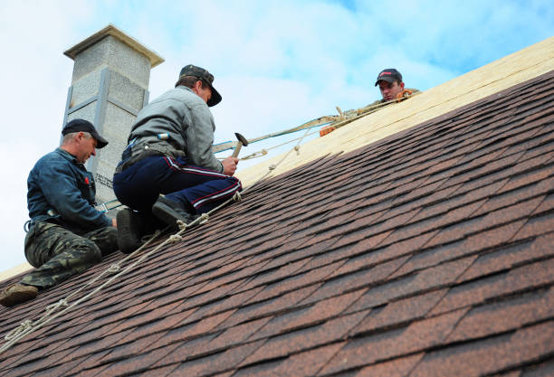 Roof Installation Near Me in Cleveland, MS